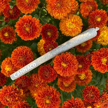 Load image into Gallery viewer, CannaCones - 6 Pack
